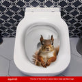 MT253026 Squirrel