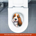 MT253036 Pet B